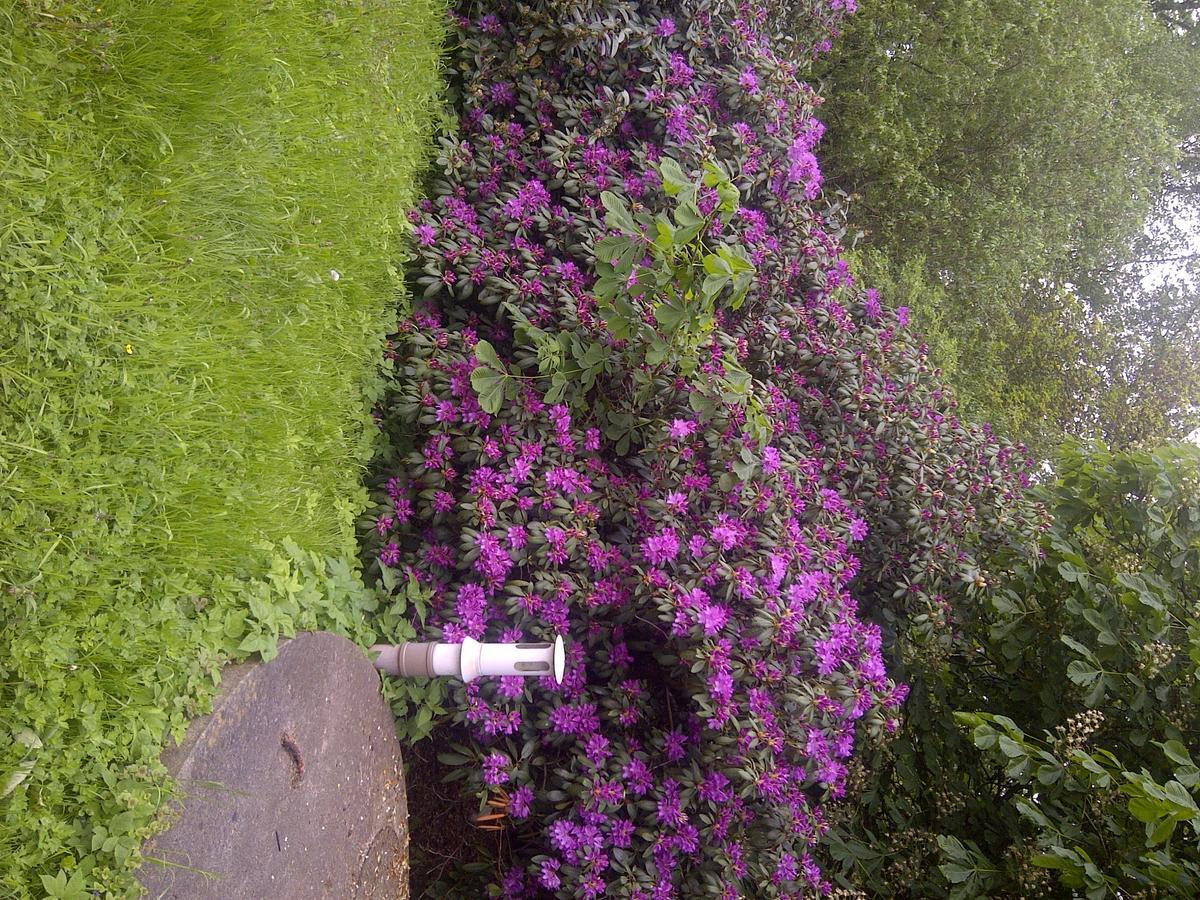 Buntes Moor Bed & Breakfast Grasberg Luaran gambar